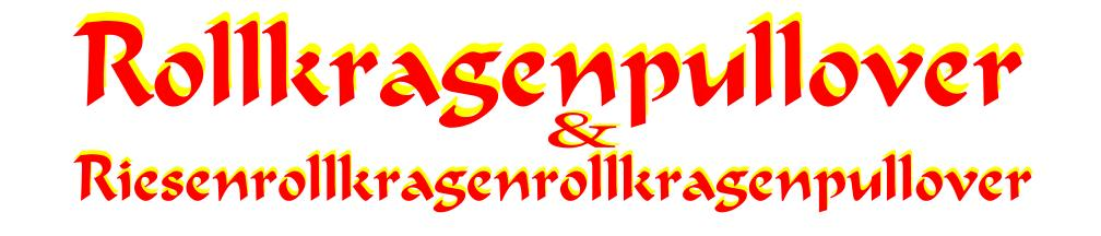 Rollkragenpullover